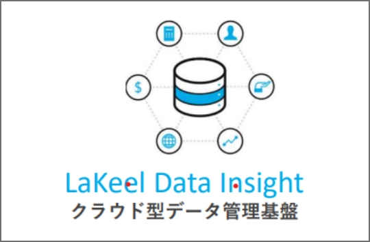 LaKeel Data Insight